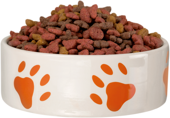 Dog Bowl with Dry Food Isolated